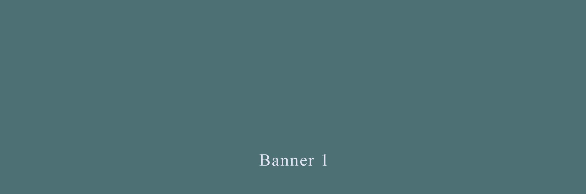 Banner 1