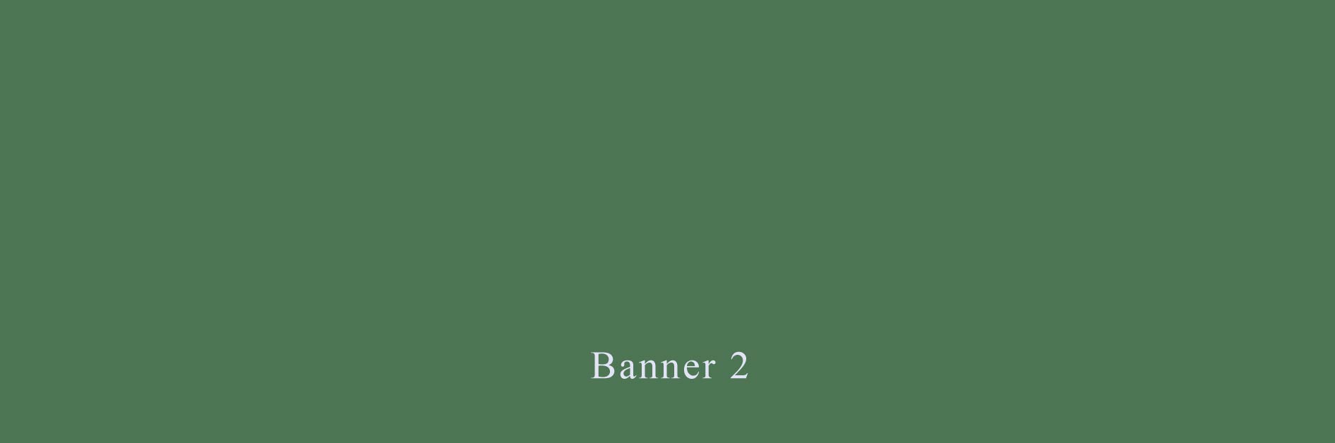 Banner 2