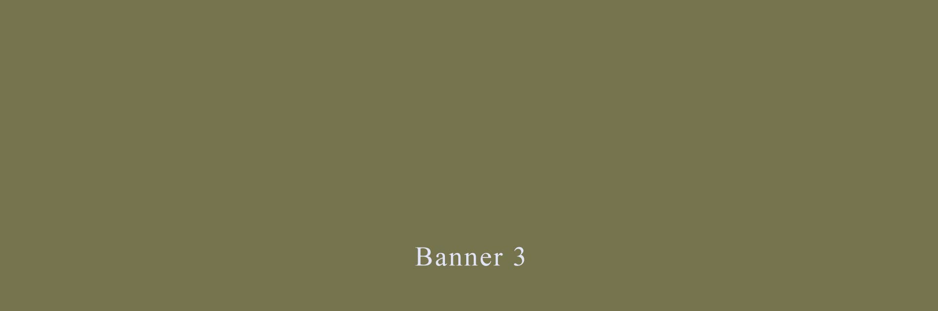 Banner 3