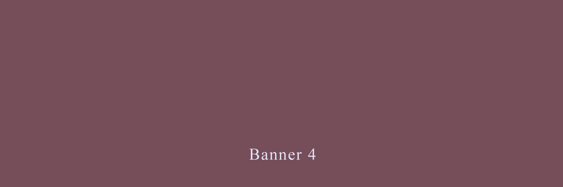Banner 4