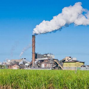 Sugar Mill